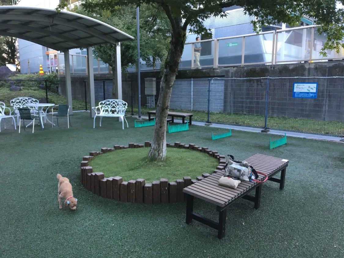 足柄SA下り 小型犬ドッグランの真ん中ベンチ