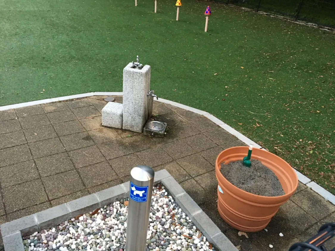 足柄SA下り 全犬種ドッグランの水飲み場とおしっこポール