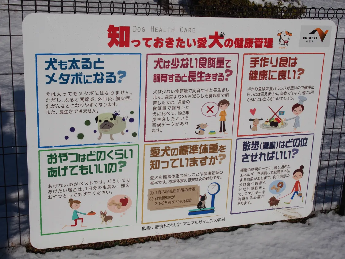 談合坂サービスエリア（上り）