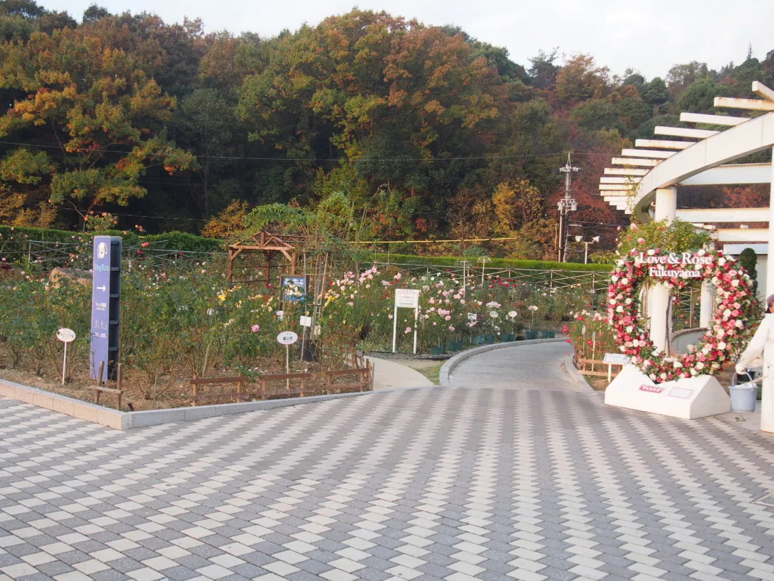 福山SA上り バラ園