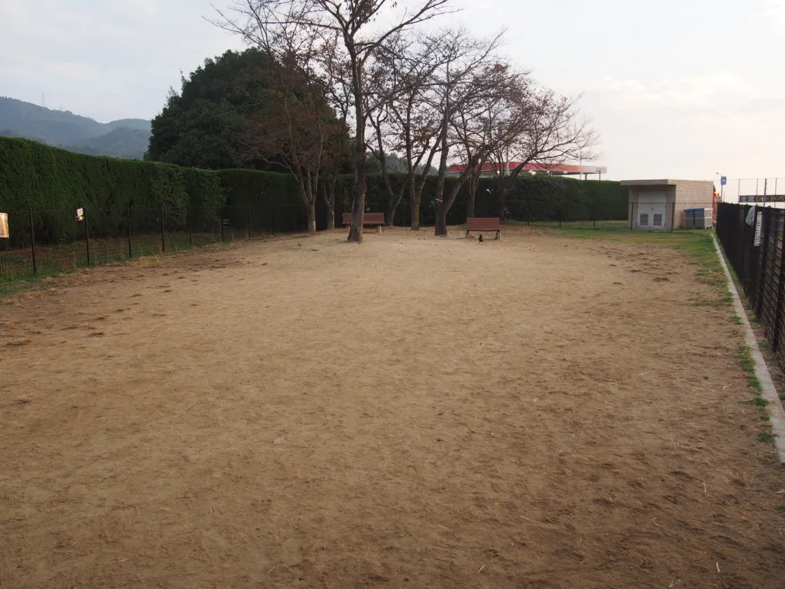 福山SA上り 砂地のドッグラン