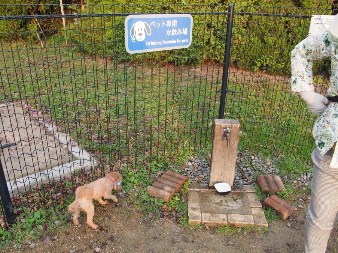 福山SA上り ドッグラン内の水飲み場