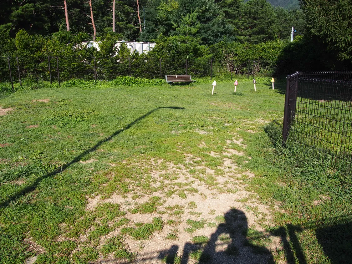駒ケ岳サービスエリア（下り）
