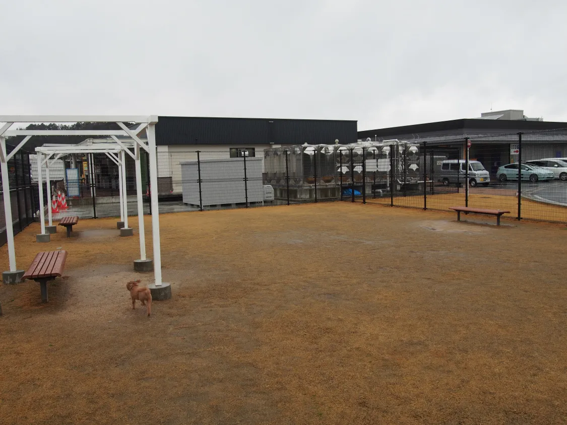京丹波PA　キレイなドッグラン