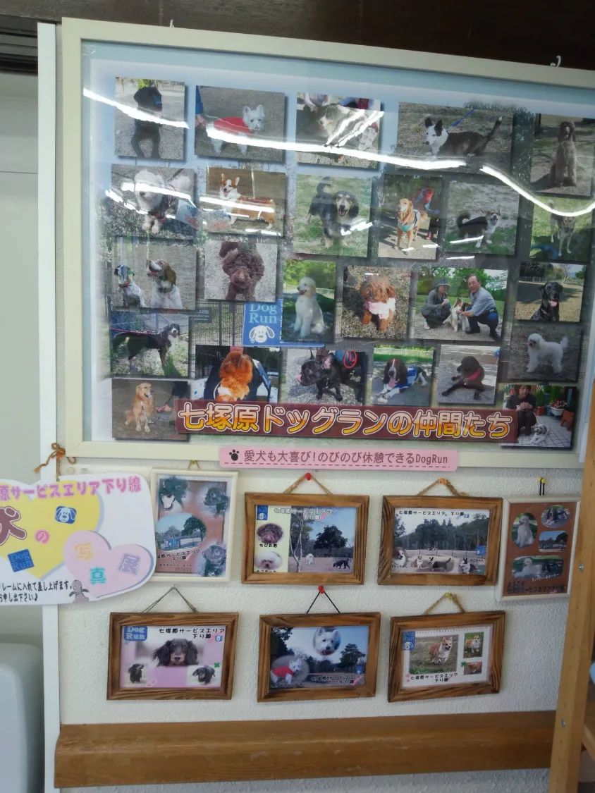 七塚原サービスエリア（下り）