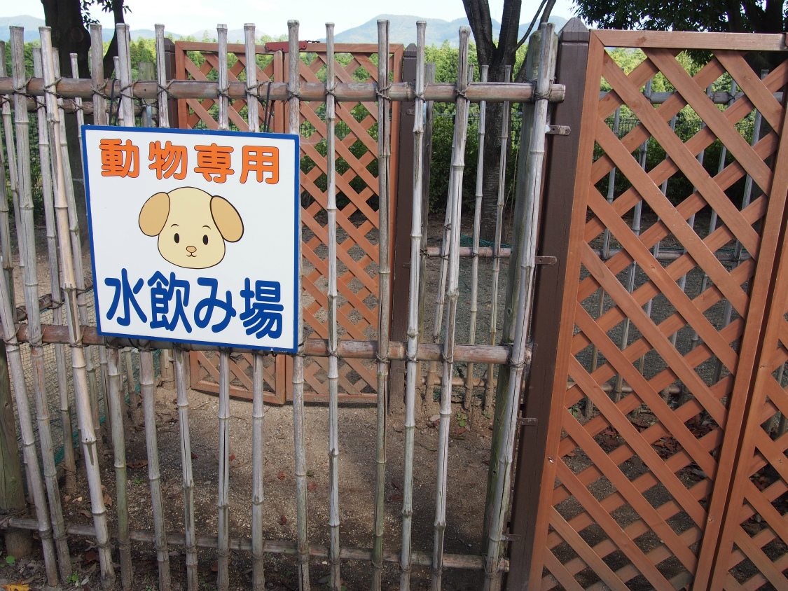 多賀サービスエリア（下り）